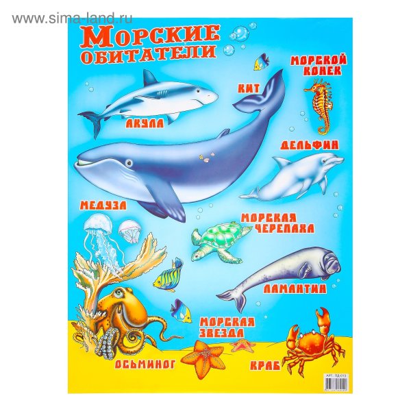 Плакат "обитатели моря"