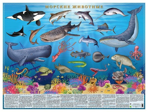 Жители океана для детей