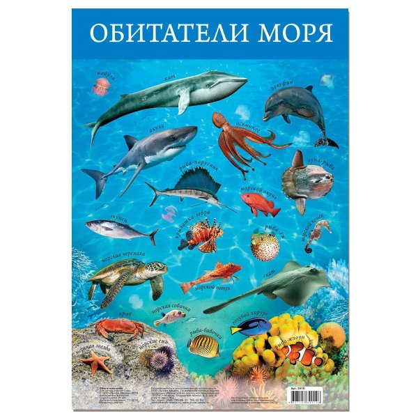 Обучающий плакат обитатели моря