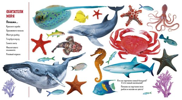 Обитатели моря для детей