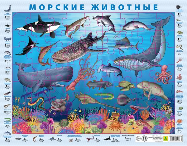 Руз ко / пазлы для детей на подложке. "Животные Австралии"