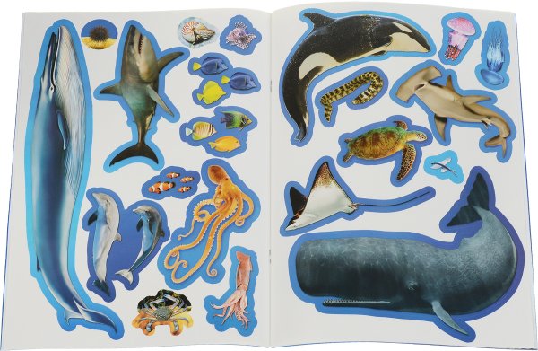 Морские животные для детей