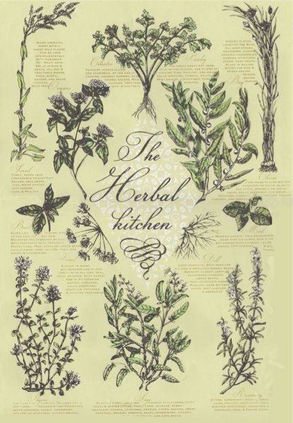 Ботанические растения рисунки и названия