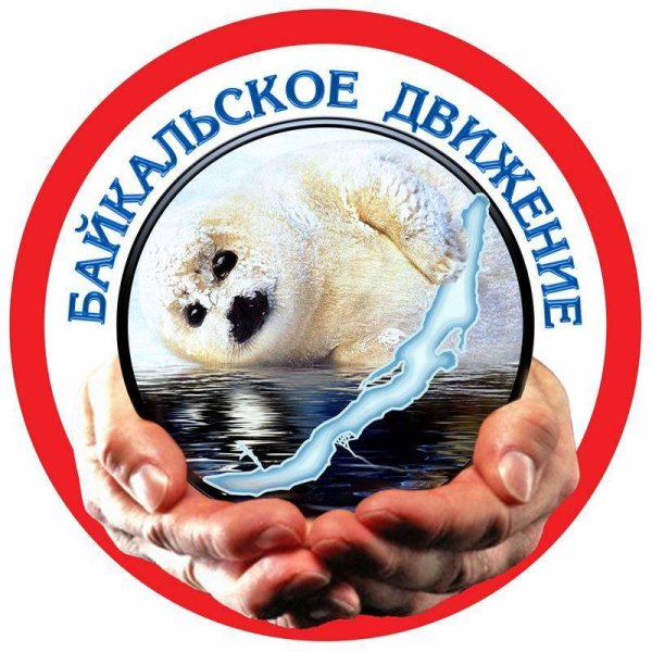 Рисование Нерпа подготовительная группа