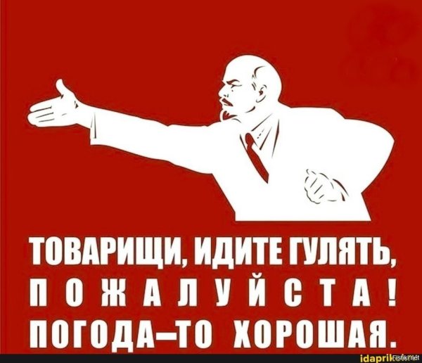 Голосуй не голосуй