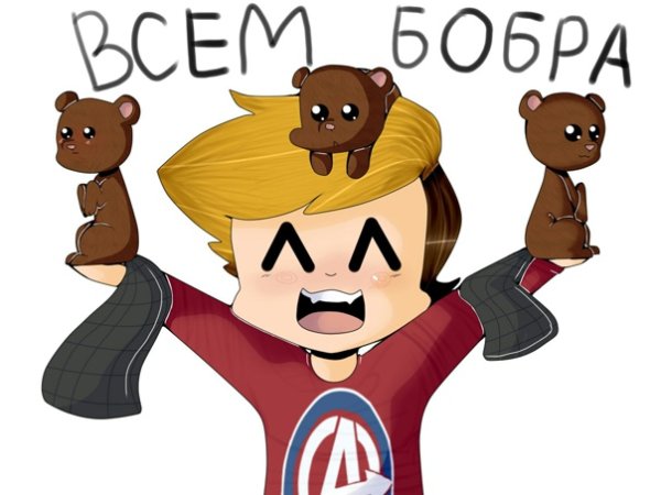 Бобр винди 31