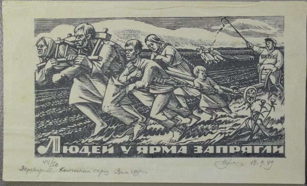 Нил Хасевич