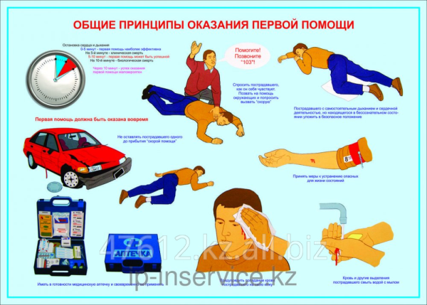 Плакат первая помощь