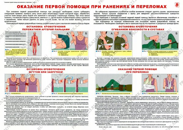 Оказание первой помощи при ранениях