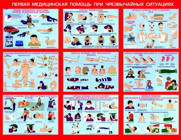 Оказание первой помощи ПДД