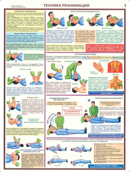 Стенд оказание первой медицинской помощи техника реанимации