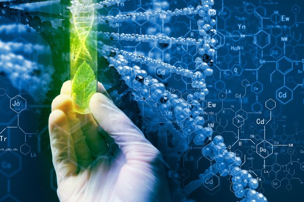 Crysis нанокостюм обои