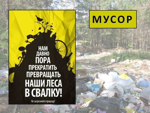 Таблички против мусора