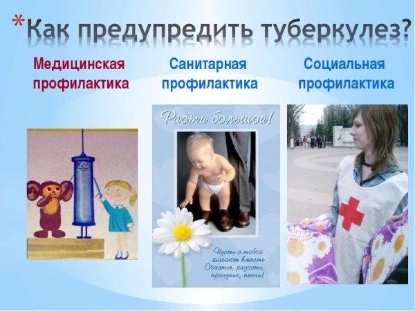 Санитарный бюллетень профилактика туберкулеза