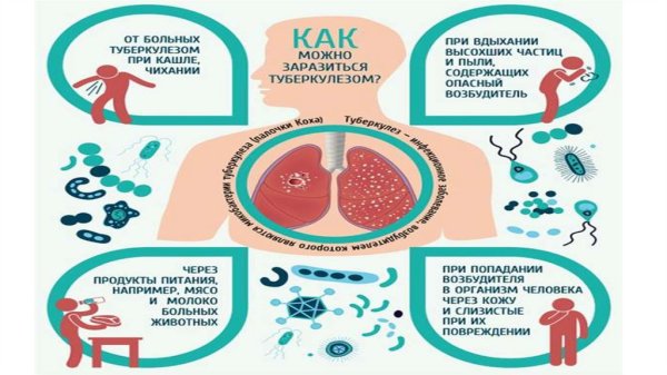 Плакат по туберкулезу