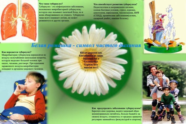 Баннеры по туберкулезу