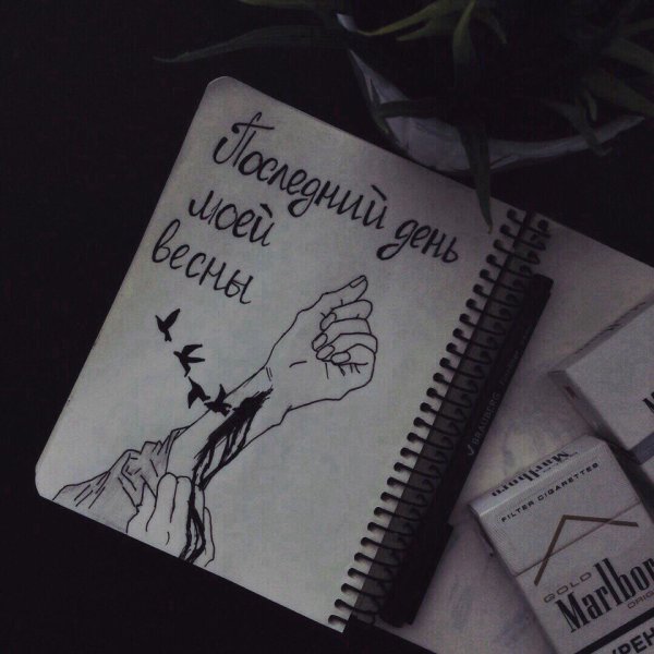 Найти выход обложки альбомов