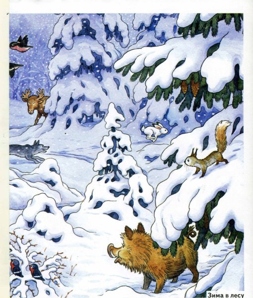 Лес зимой для детей