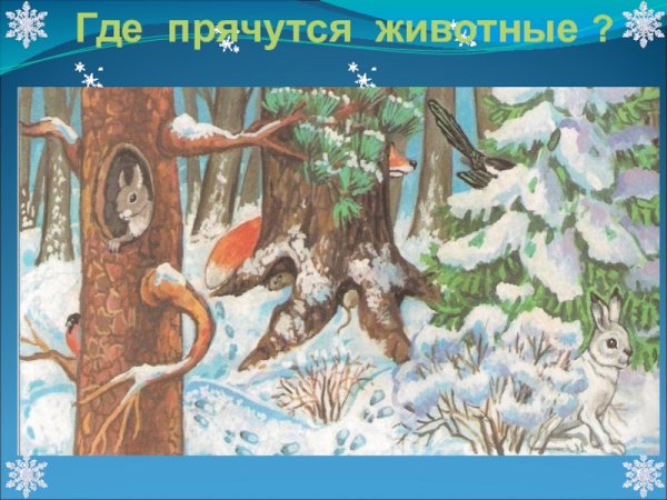 Зима в лесу для дошкольников