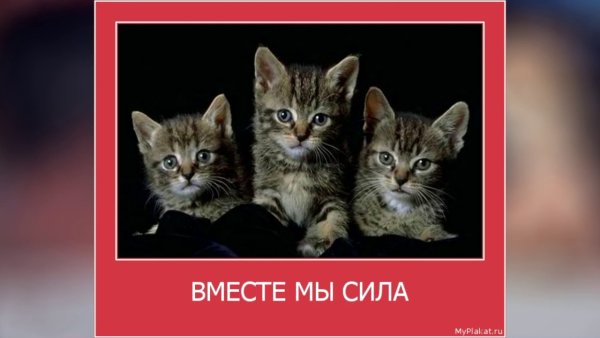 Плакат вместе мы сила