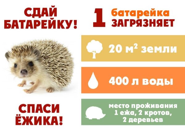 Акция Сдай батарейку Спаси ежика
