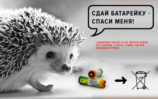 Акция Спаси ежика батарейки