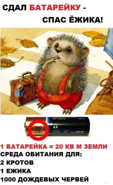 Сдал батарейку спас ежика