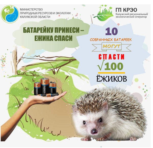 Акция батарейку принеси ежика Спаси Калуга