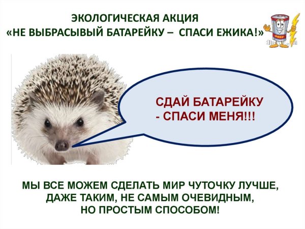 Акция Спаси Ёжика по сбору батареек