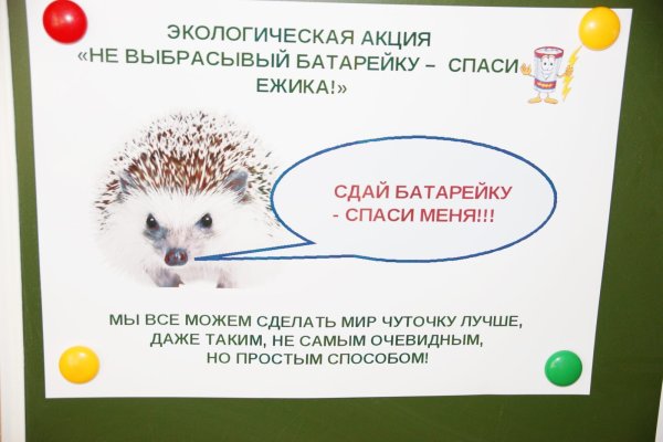 Акция Спаси ежика