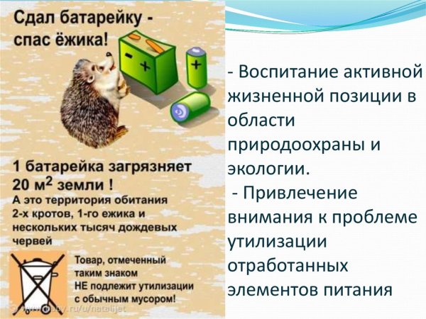 Сбор батареек акция Спаси ежика