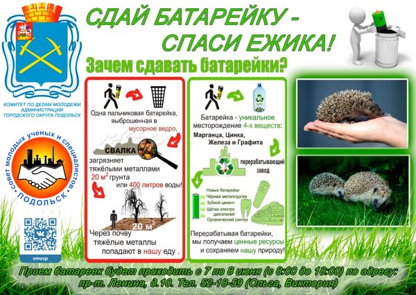 Сдай батарейку Спаси ежика