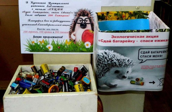 Акция Собери батарейки Спаси ежика