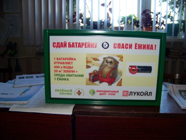 Не выбрасывай батарейку Спаси ежика
