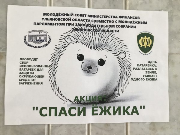 Спасем ежика