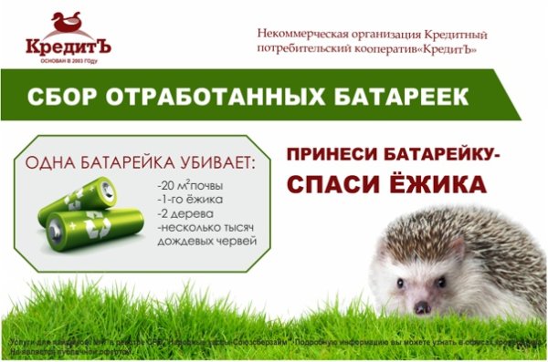 Ежик сбор батареек