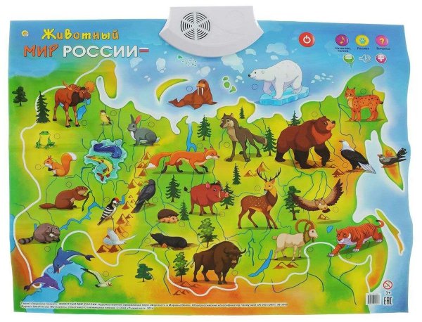 Электронный плакат карта мира