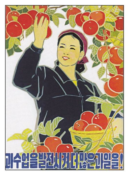 Агитационные плакаты КНДР