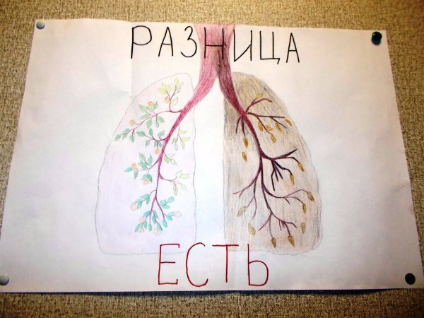 Постеры легкие