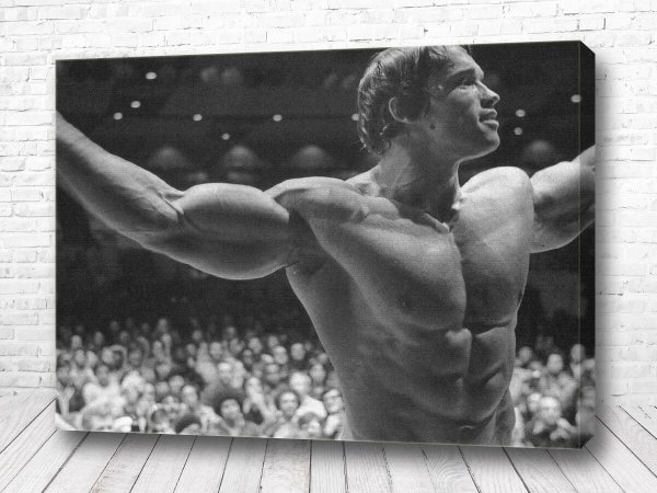 Шварценеггер 1984