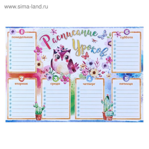 Расписание занятий. Плакат.