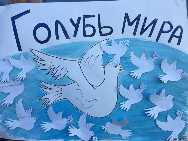 Голубь мира плакат