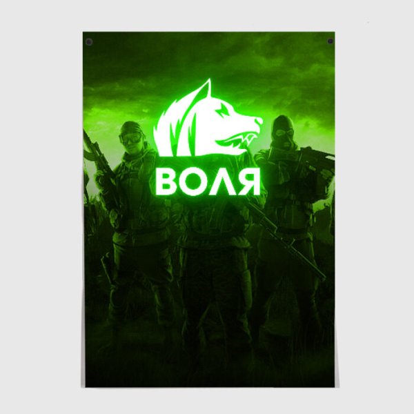 Сталкер Свобода плакаты