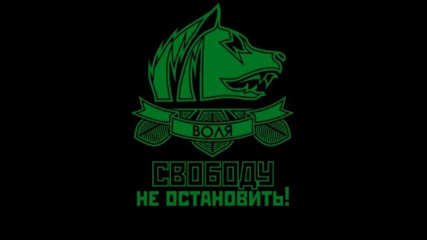 Группировка Свобода сталкер эмблема