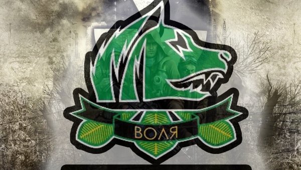 Сталкер группировка Свобода