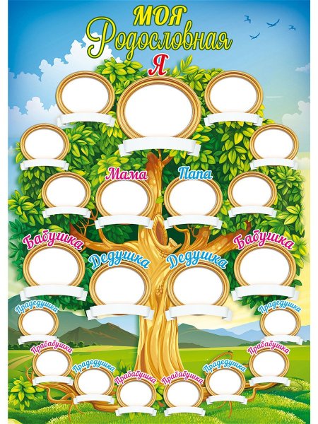 Плакат "моя родословная"