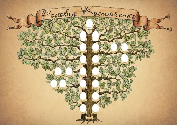 Династия Ямато Древо