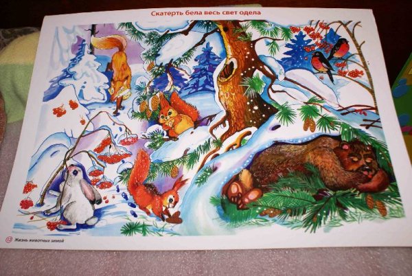 Животные зимой материал