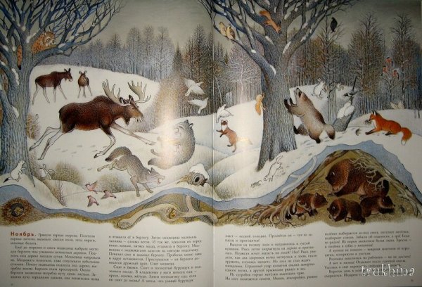 Петр Багин в лесу иллюстрации