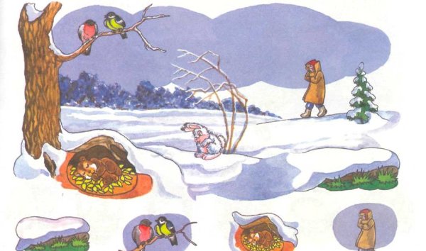 Животные зимой задания для дошкольников